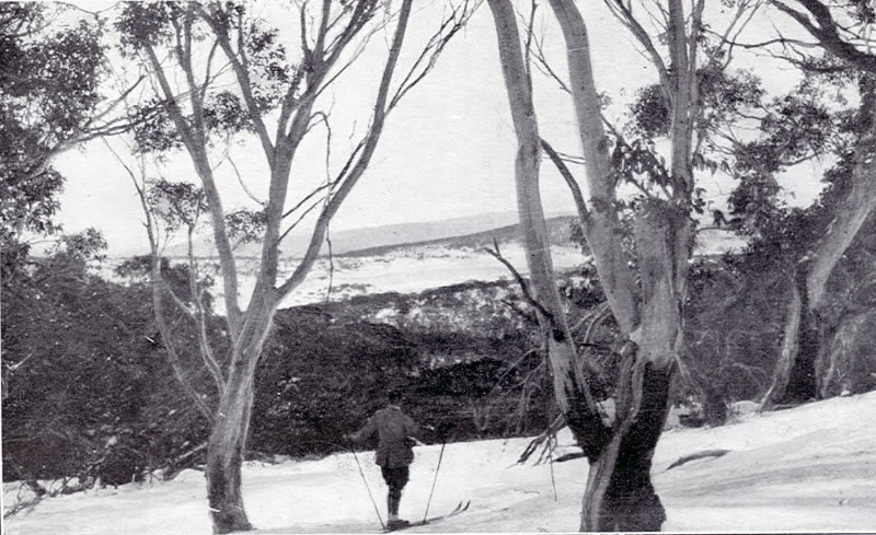 AAC 3-13 South of Kiandra