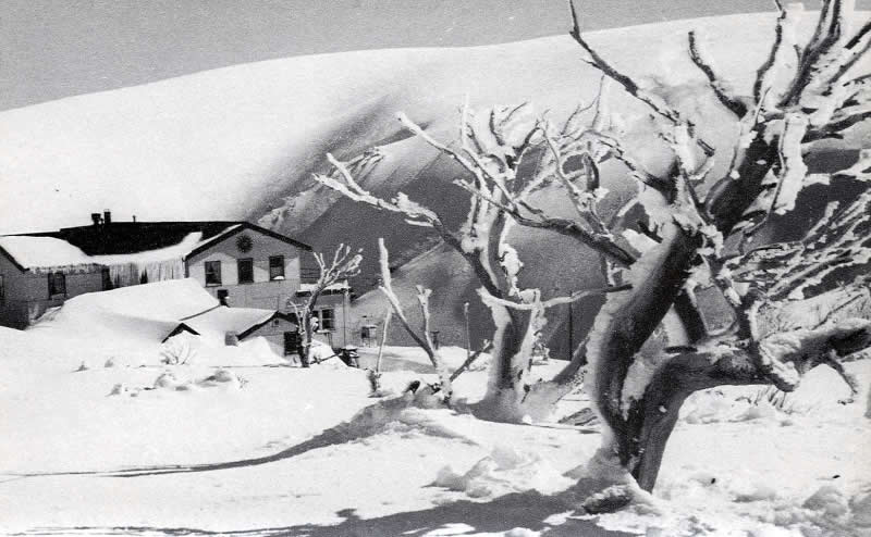 AAC 4-17 Hotham Heights Med Res 1940 Hull p157 Scan0012