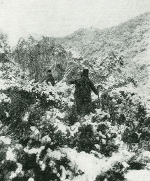 AAC 5 27